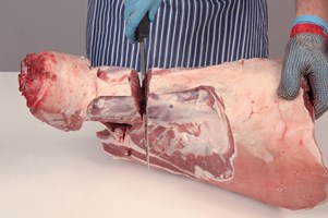 Neck – untrimmed Meat Cut Spec Step 1